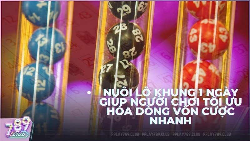 Phương pháp nuôi lô khung 1 ngày giúp người chơi tối ưu hóa dòng vốn cược nhanh